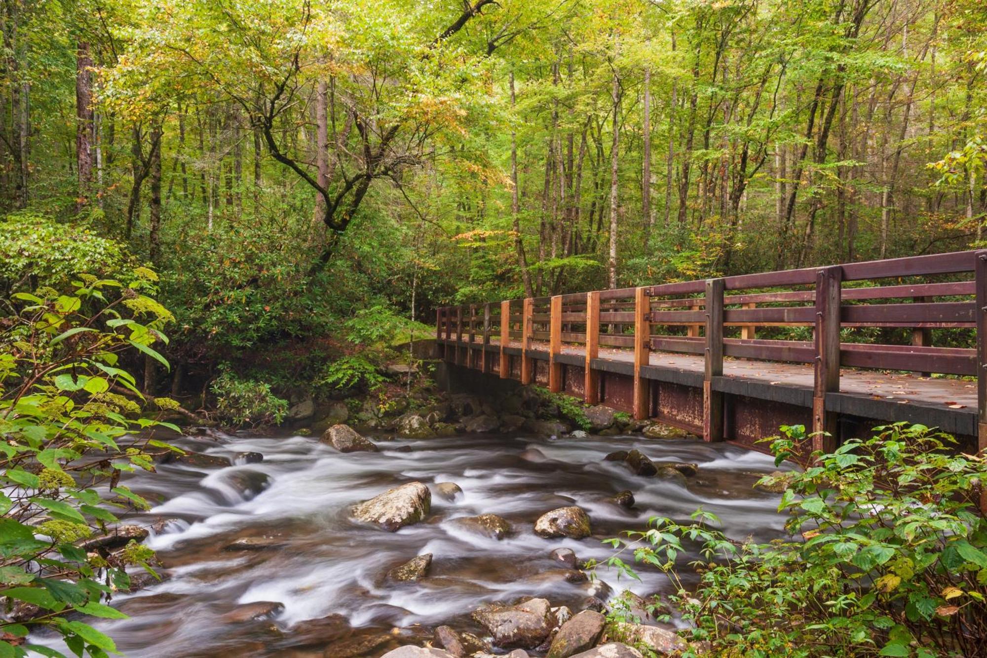 Serenity Heights, Amazing Views, Hot Tub Pool Access, 1089 Free Tickets Each Paid Day, Dollywood Gatlinburg Eksteriør bilde